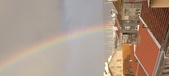 Enlarge photo 281