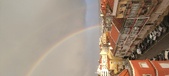 Enlarge photo 278