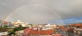 Enlarge photo 271