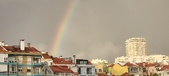 Enlarge photo 264