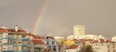 Enlarge photo 263
