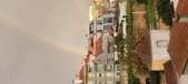 Enlarge photo 262