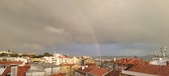 Enlarge photo 260