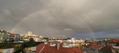 Enlarge photo 257