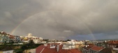 Enlarge photo 258