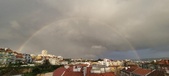 Enlarge photo 259