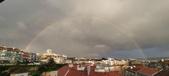 Enlarge photo 255
