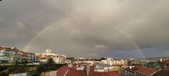 Enlarge photo 254