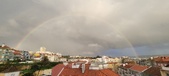 Enlarge photo 251