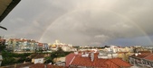 Enlarge photo 249