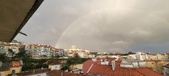 Enlarge photo 246