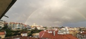 Enlarge photo 243