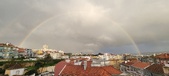 Enlarge photo 242