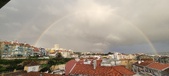 Enlarge photo 241