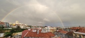 Enlarge photo 236