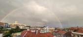 Enlarge photo 237
