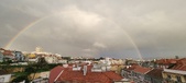 Enlarge photo 239