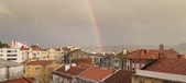 Enlarge photo 235