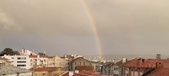 Enlarge photo 234