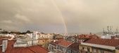 Enlarge photo 233