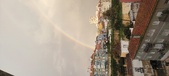 Enlarge photo 231