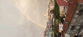 Enlarge photo 230