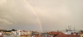 Enlarge photo 229