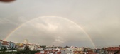 Enlarge photo 226