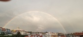 Enlarge photo 225