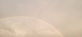 Enlarge photo 217