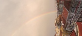 Enlarge photo 209
