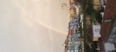 Enlarge photo 205