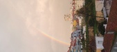Enlarge photo 207