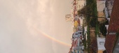 Enlarge photo 203
