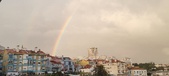 Enlarge photo 201