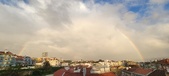 Enlarge photo 185