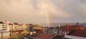 Enlarge photo 169