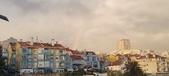 Enlarge photo 170