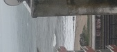 Enlarge photo 153