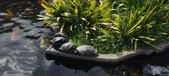 Enlarge photo 23
