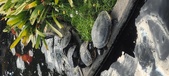 Enlarge photo 27