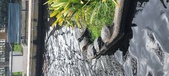 Enlarge photo 33