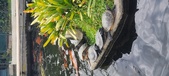 Enlarge photo 34