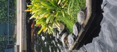 Enlarge photo 35