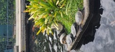 Enlarge photo 36