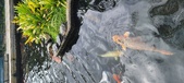 Enlarge photo 37