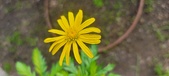 Enlarge photo 42