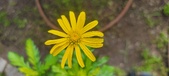 Enlarge photo 43