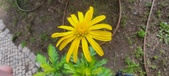 Enlarge photo 47