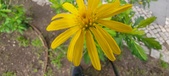 Enlarge photo 48